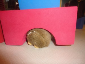 Snuffles seems like he needs a little more space!