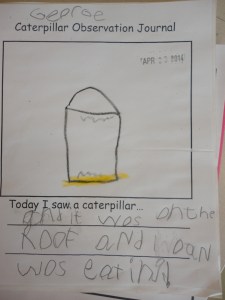 A closer look at the science notebook.