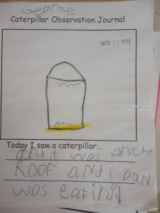 A closer look at the science notebook.