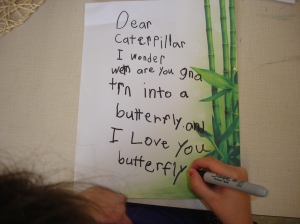 Writing letters to our butterflies while we wait for them to emerge from their chrysalises. 