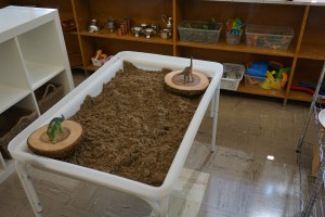 Sand Table. Only one sensory table has arrived, but I plan to make due with one by placing the lid on top of the sand and using a large rubbermaid container on top for a water table.
